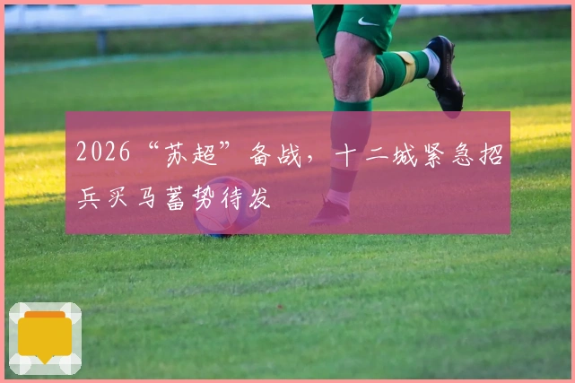 2026“苏超”备战，十二城紧急招兵买马蓄势待发
