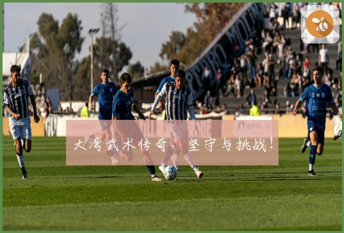 大湾武术传奇，坚守与挑战！