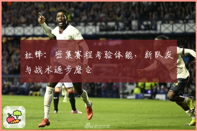 杜锋：密集赛程考验体能，新队友与战术逐步磨合