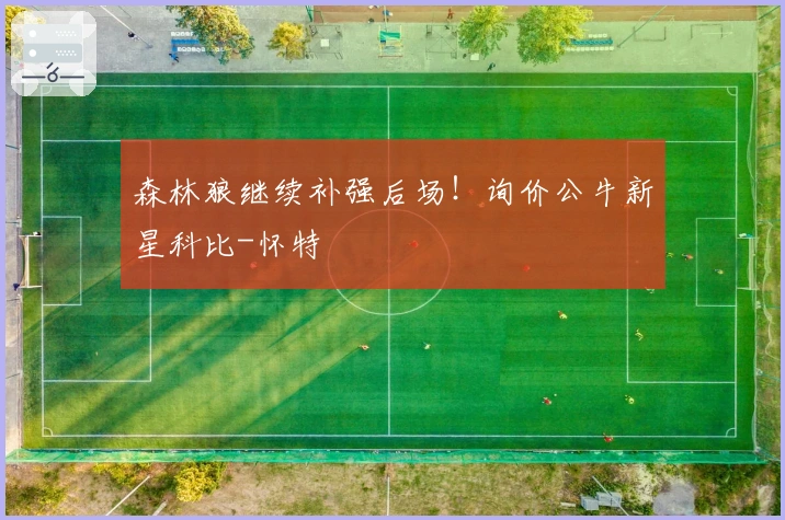 森林狼继续补强后场！询价公牛新星科比-怀特